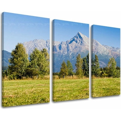 Obraz na stenu SLOVENSKO - 90x60 cm