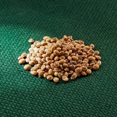 AROS proso seté – zelené