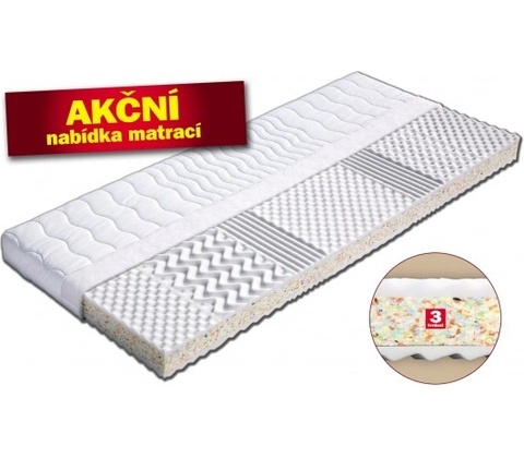 Dřevočal Neapol