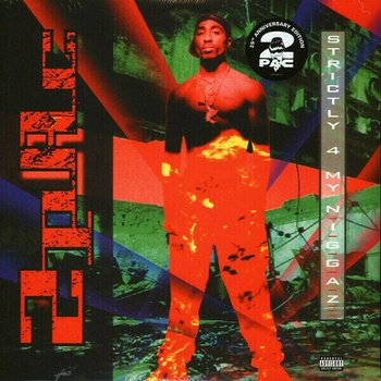 2Pac - Strictly 4 My N. I. G. G. A. Z. (2 LP) (0602527950181)