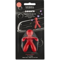vôňa do auta Mr&Mrs Fragrance CESARE PEPPER MINT