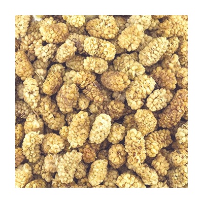 World Herbs Moruše bílá sušená Morus alba 1 kg