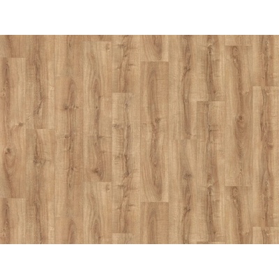 IVC Belgium Greenline New 2021 Rioja 532 4 m 1 m²