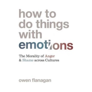 How to Do Things with Emotions | Owen Flanagan (ISBN: 9780691220994)