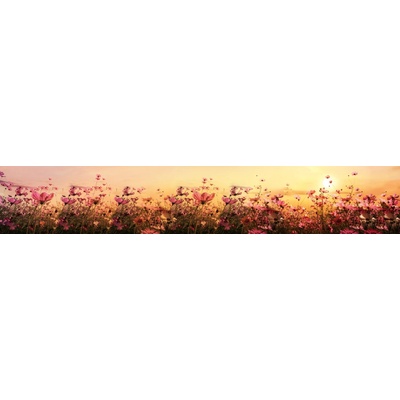 Dimex KI350-130 Fototapeta za linku Flower Field rozměry 350 x 60 cm