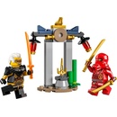 LEGO® Ninjago 30650 Bitva Kaie a Raptona v chrámu
