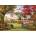 EUROGRAPHICS - Puzzle Davison: Old Pumpkin Farm - 1 000 piese