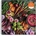 Galison - Puzzle The Garden Board - 500 piese