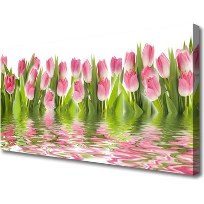 Obraz Canvas Tulipány rastlina príroda 100x50 cm