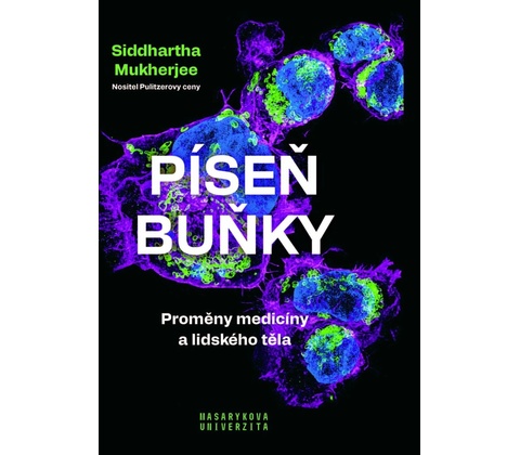 Píseň buňky