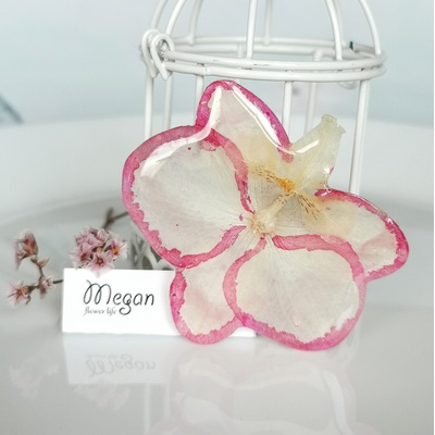 Meganflo Брошка орхидея в бяло и розово