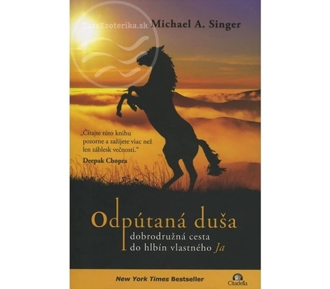 Odpútaná duša - Singer Michael A.