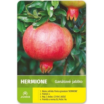 Granátové jablko - Hermione