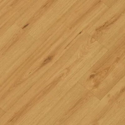 Republic Crocodile C010 Clapback 1,67 m²