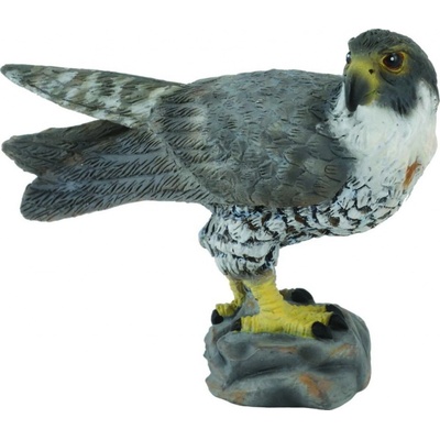 Collecta Sokol sťahovavý