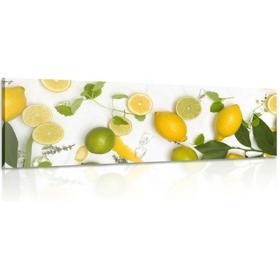 Obraz směs citrusových plodů - 90x30