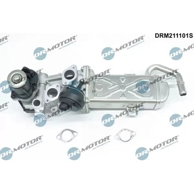 Dr.Motor Automotive AGR ventil DMA DRM211101S