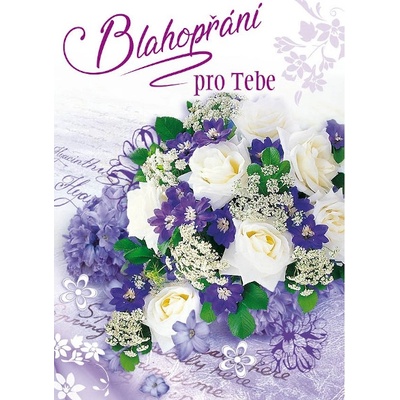 Pohlednice BLAHOPŘÁNÍ PRO TEBE (P395-03)
