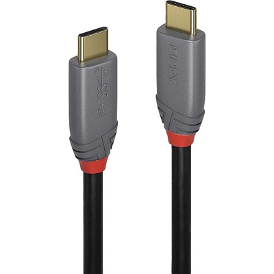 Lindy 36901 USB, USB 3.2 Gen2x2 USB-C ™ zástrčka, USB-C ™ zástrčka, 1m, černý, sivý