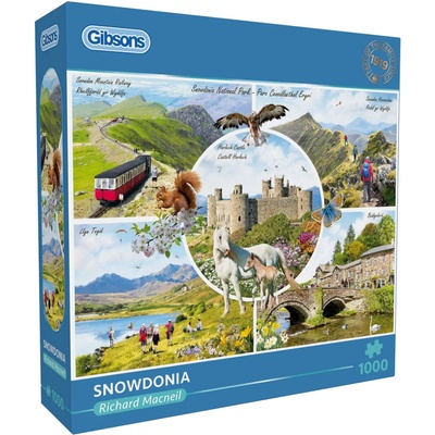 GIBSONS Snowdonia 1000 dielov