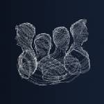 Supraphon Point of Few: Peripheral People - Vinyl (LP) (078783)