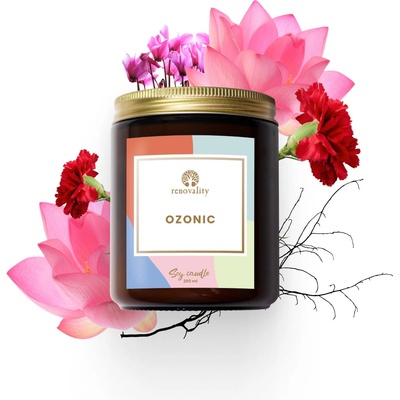 Renovality Ozonic 250 ml