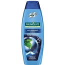 Šampóny Palmolive Naturals Anti Dandruff šampón pre osvieženie a proti lupinám 350 ml