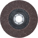 Bgs Technic Lamelový brusný kotouč 125 mm K 80 3976