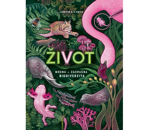 Život