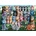 Anatolian - Puzzle Cat Family Reunion - 1 000 piese