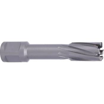 !!!! ABSE N-CA-W19-0180050