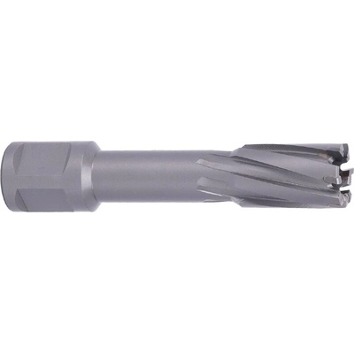 !!!! ABSE N-CA-W19-0180050