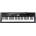 Casio CTK 1100