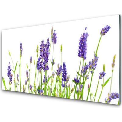 Obraz na skle Květiny 100x50 cm