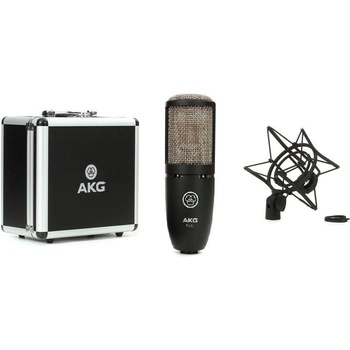 AKG P 220