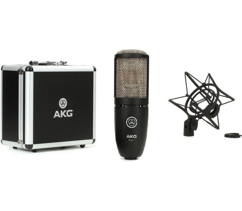 AKG P 220