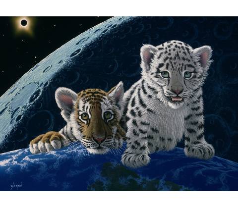 Grafika Schimmel Total Eclipse 2000 dielov
