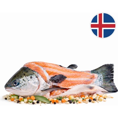Boxxi Islandský losos skelet na polévku mražený 700 g – Hledejceny.cz