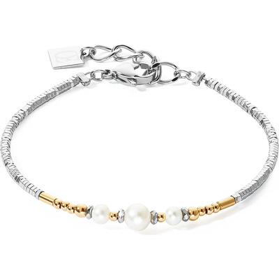 Coeur de lion 1117/30-1426 (1117/30-1426)