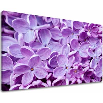 Obraz na stenu KVETY - 30x40 cm