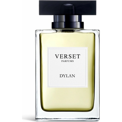 Verset Dylan parfumovaná voda pánska 100 ml