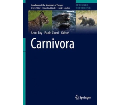 Carnivora