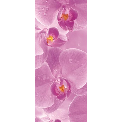 C149SKT Fototapeta samolepícíOrchideje, rozměry 211 x 91 cm