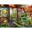 Ravensburger - Puzzle Garden Teahouse, Kyoto - 1 000 piese