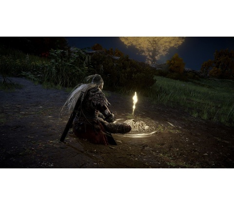 Elden Ring