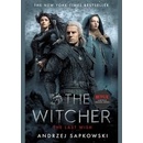 The Last Wish - Andrzej Sapkowski