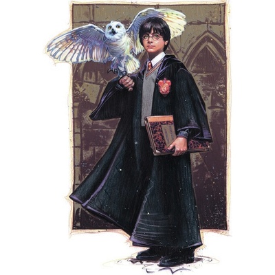 Umelecká tlač Harry Potter with Hedvig - Art, 26.7 × 40 cm