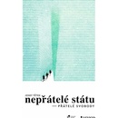 Nepřátelé státu