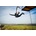 Bungee jumping Brno