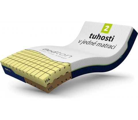 Bedton STEP